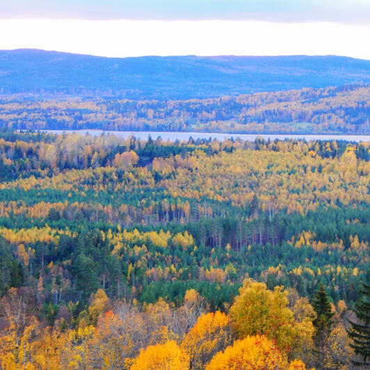 Sweden