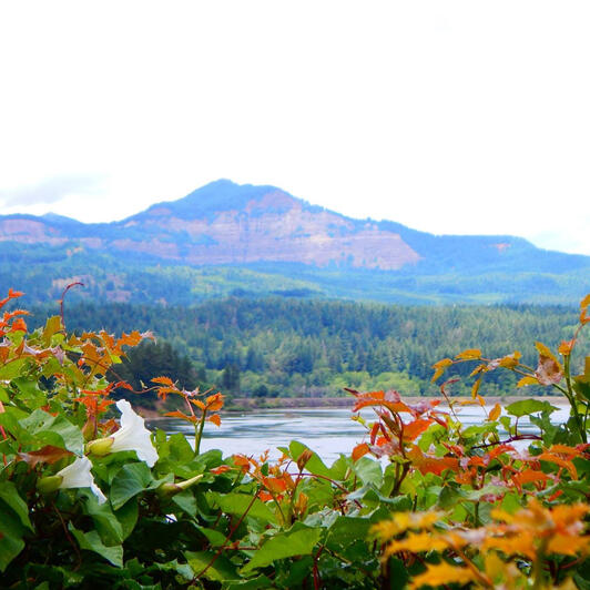 Oregon