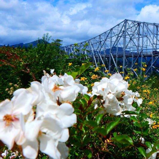Oregon